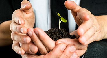 Experience and Advice about the Market